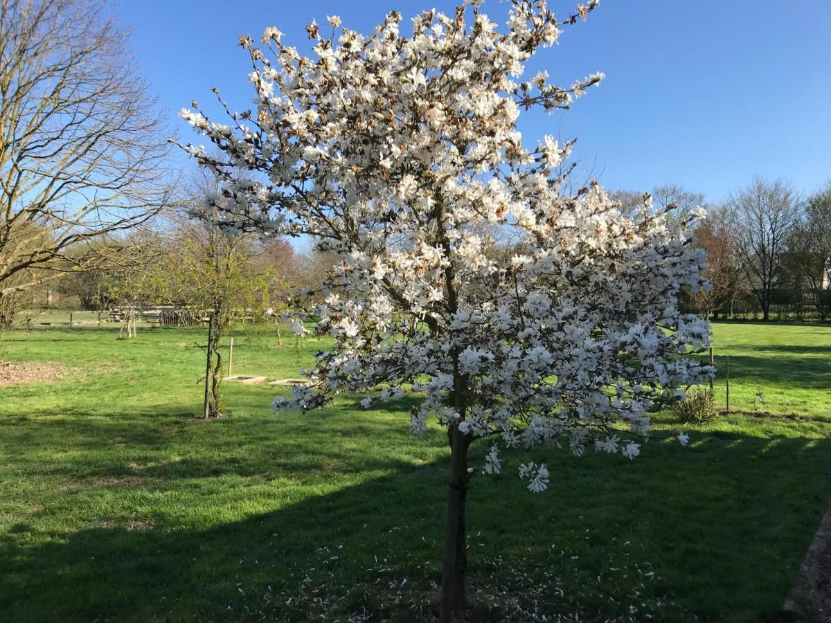 Chambre A La Campagne Quebriac Bagian luar foto